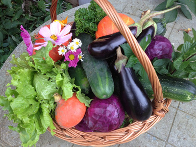 Réussir son jardin potager Choix des légumes