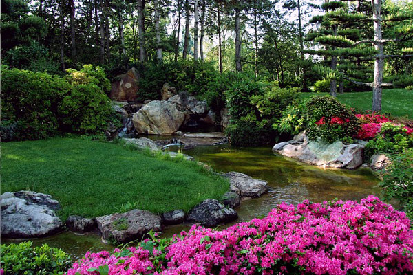 Créer un bassin de jardin - Jardindeco BlogJardindeco Blog